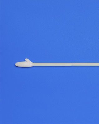 L'écouvillon 230MM de collection de spécimen d'Iclean s'est assemblé l'écouvillon en nylon CM-FS919K