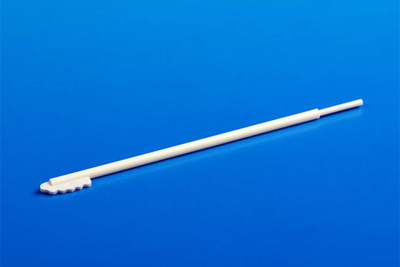 Poignée oro-pharyngée non-tissée d'ABS d'écouvillon de brosse à dents pour l'essai d'ADN