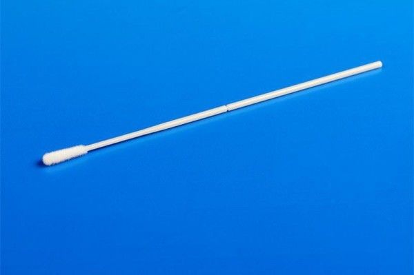 Nasal oral de collection d'échantillonnage assemblé tamponne la tête en nylon de fibre que Cleanmo tamponne CM-FS915